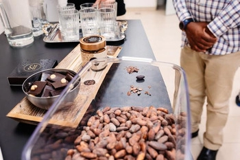 20 chocolate – cokolada ki vas bo navdusila ze ob prvem ugrizu
